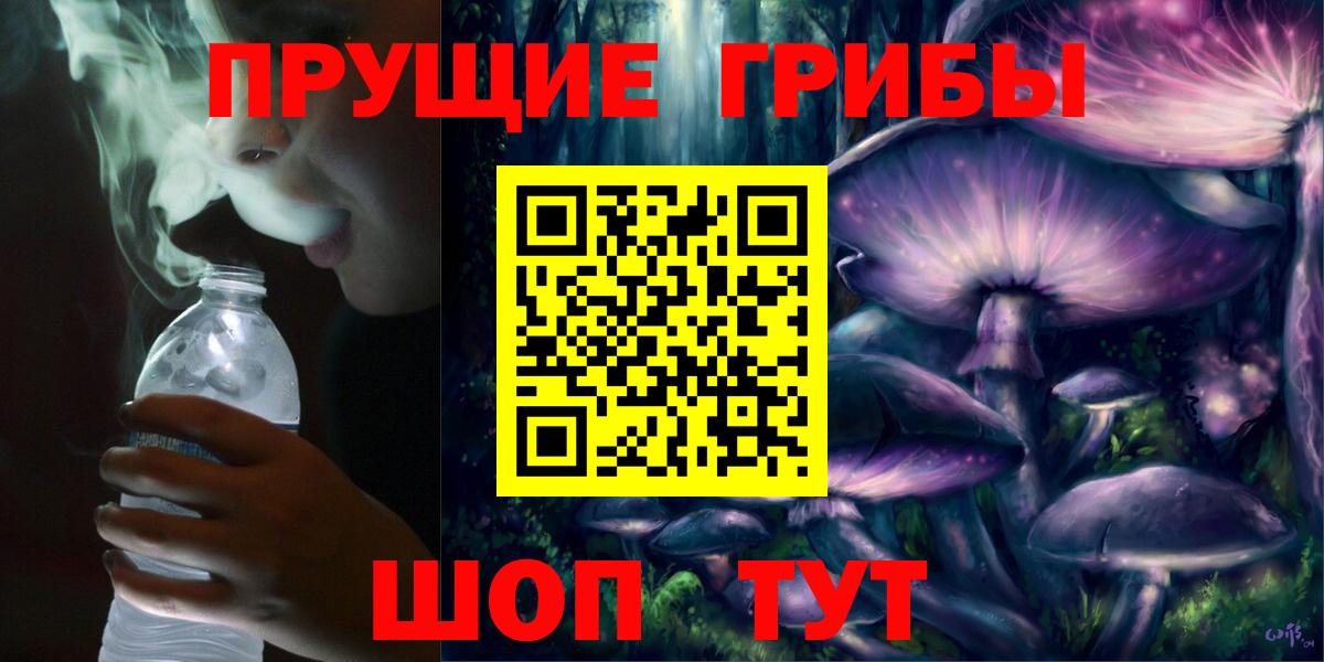 Галлюциногенные грибы GOLDEN TEACHER  Галлюциногенные грибы прущие грибы  Чехов  Вход с VPN 